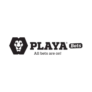 Playabets logo